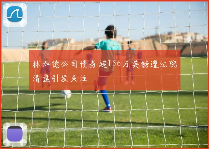 林加德公司债务超156万英镑遭法院清盘引发关注